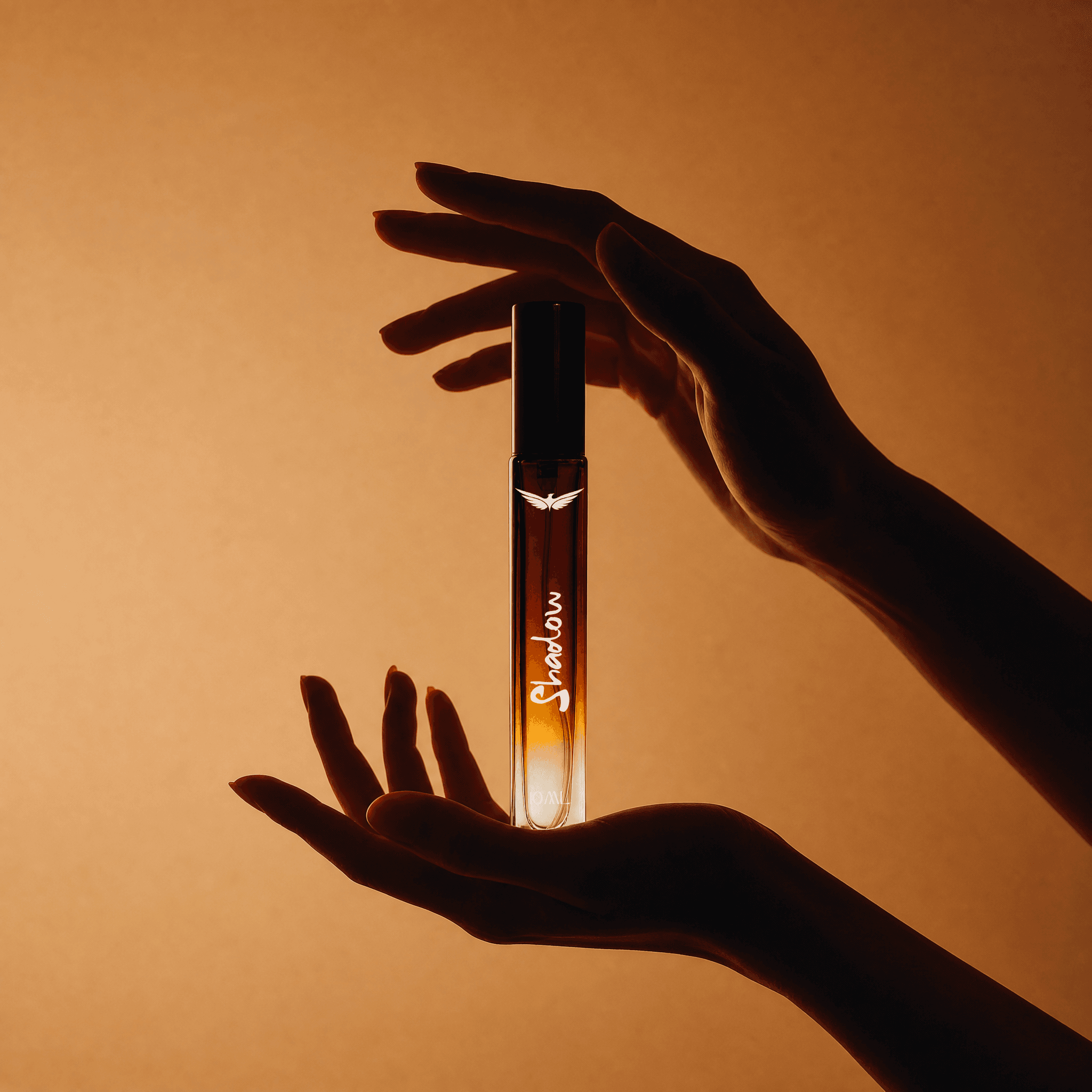 Shadow — view 5